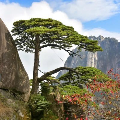 Show the beauty of China Huangshan mountain，Serve the tourists all of the world. Follow me! Take you to enjoy the most beautiful scenery of Mt.