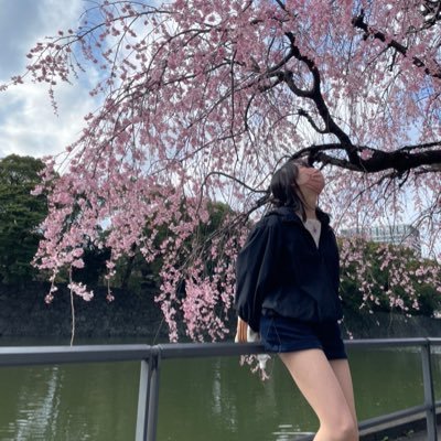 Shino_estation's profile picture. 英語と手話をゆるく勉強中です。 英ステ2022.2~🔰/ twitter 2022.3〜