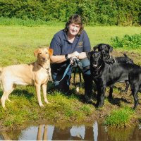 Distinctive Pets - home of Muddy Dog Day (@distinctivepets) 's Twitter Profile