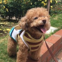 🌸ぱぁる☆彡🖇⭐️🐞🐬 (@_____smap0507) 's Twitter Profile Photo 🌸ぱぁる☆彡🖇⭐️🐞🐬 (@_____smap0507) 's Twitter Profile Photo