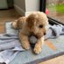 Debbie Wallace (@debbiew22194380) Twitter profile photo Debbie Wallace (@debbiew22194380) Twitter profile photo