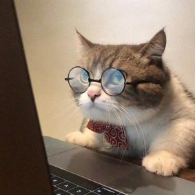 clever_clive's profile picture.