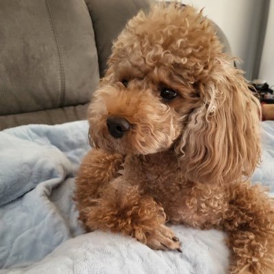 MYoo39's profile picture. BTS fans/Yoongi/Agust D✳︎無言ﾌｫﾛｰ失礼します＊♡ﾎﾟﾁﾎﾟﾁします #suga #yoongi #AgustD