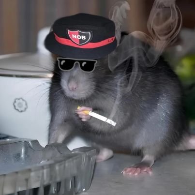 fraan_newells74's profile picture. Te miro pero no te veo.