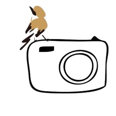DaeliFotografia Profile Picture