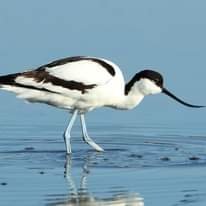 Angita00231351's profile picture. Complètement à l'ouest!