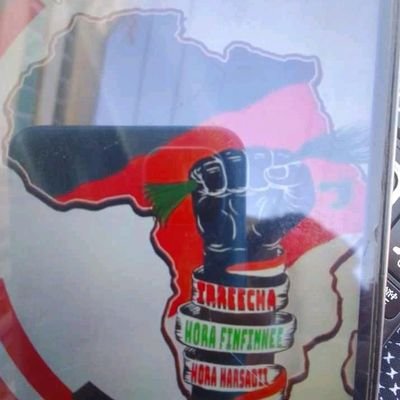 Habtamukaba35g2's profile picture. Lebsi Habtamu