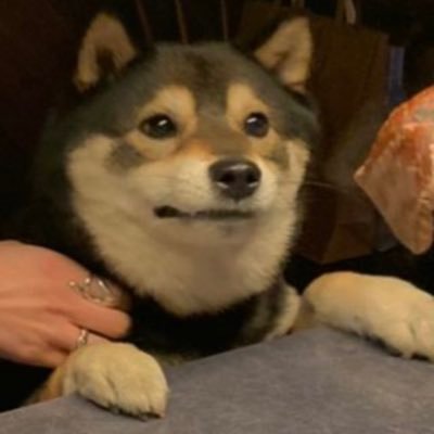 汪さんのプロフィール画像