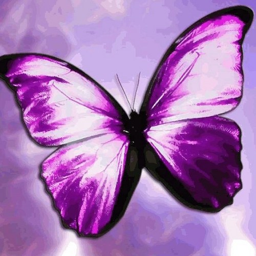 mabrim's profile picture. 