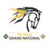 The Virtual Grand National 2022 (@thevirtualgn) Twitter profile photo The Virtual Grand National 2022 (@thevirtualgn) Twitter profile photo
