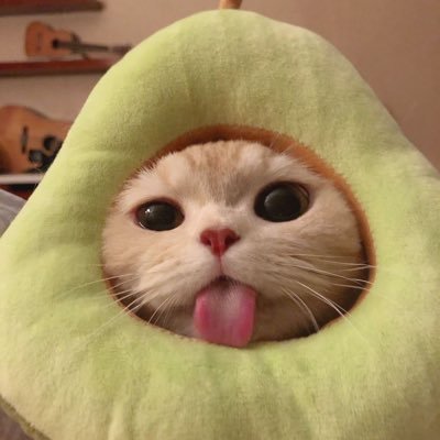 Makil2002's profile picture. @kASTRO_cart