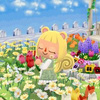 エコー (@wolechomatane) 's Twitter Profile