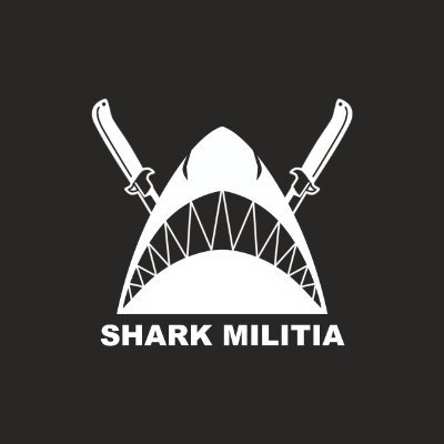 Freelance designer/illustrator,solo nft creator for shark militia