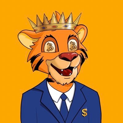 chibel_ahmed's profile picture. 