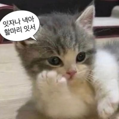likethis141200's profile picture. 