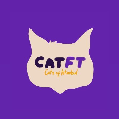 We are the cats of Istanbul, the city of cats 

And we came to purr in the #NFT world

24 Hand-Drawn peerless NFTs are available on OpenSea

Meooow 🐈