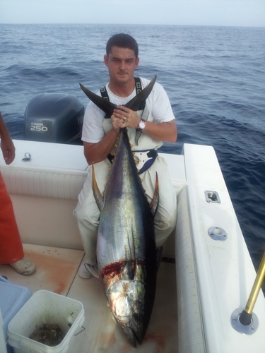 JayLeeHall's profile picture. 