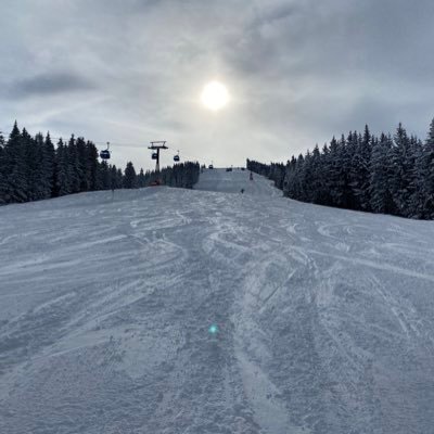 pieter_daalen's profile picture. 