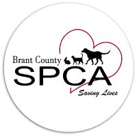Brant County SPCA (@brantcountyspca) 's Twitter Profile