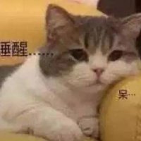 咔擦咔擦 (@zakazakaovo) Twitter profile photo
