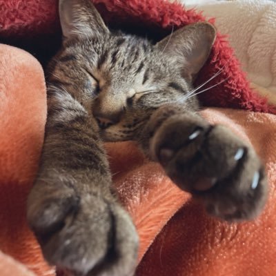 そらさんのプロフィール画像