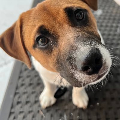 michaelabarrett's profile picture. 