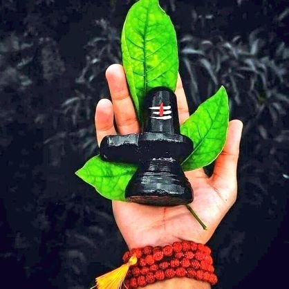 Kartikey_33's profile picture. follow back 💯 💯💯💯💯 होगा