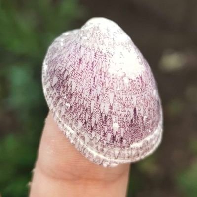 lines_potato's profile picture. An archive of my barely poems & lines