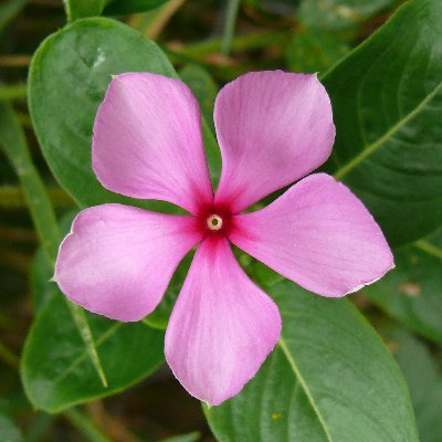 nhojelttil's profile picture. (he/him) warding off the abyss with music and my ridiculous kids. fund public education, not the police. @littlejohn@mastodon.social exists but thus far unused