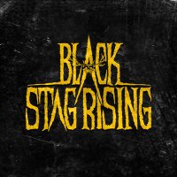 Black Stag Rising(@BlackStagRising) 's Twitter Profile Photo