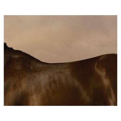 Photographer with a mild obsession with photographing horses in the style of 18th Century painter George Stubbs.
https://t.co/CtIWd2vy5H