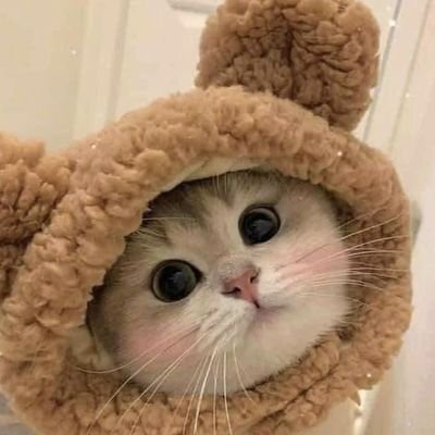 user_notforme's profile picture. gak usah kepo😠