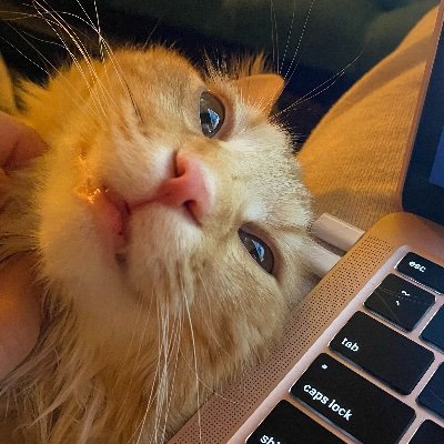 maricoppers's profile picture. Cat mom, video game enthusiast, occasional writer.