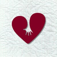 ATN (@attachtrauma) 's Twitter Profile