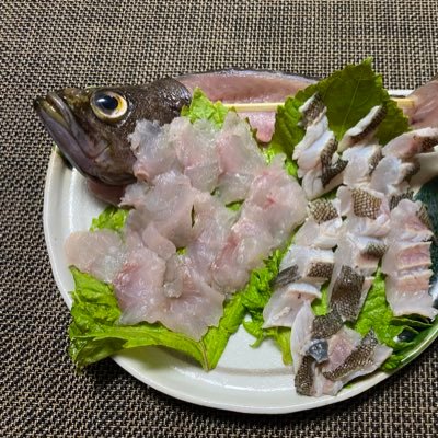 bishowjo's profile picture. 日本一敷居の低い編集部を目指してます。 担当作『異世界おじさん』、『ガルパンらぶらぶ作戦』、『乙女怪獣キャラメリゼ』、『廃バスに住む』ほか