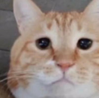 GenZeneration's profile picture. ran by: @CRUNCHYBUGG

providing you with gen z humor possible (dm submissions)