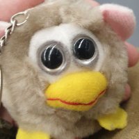 Mepo (@meponespa) 's Twitter Profile