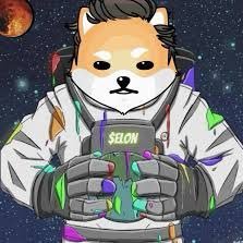 Vincenz45886121's profile picture. 