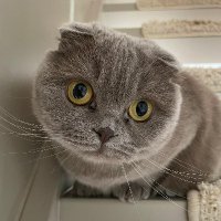 3ackd0or (@3ackd0or) 's Twitter Profile