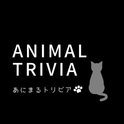 animal_triviaJP Profile Picture