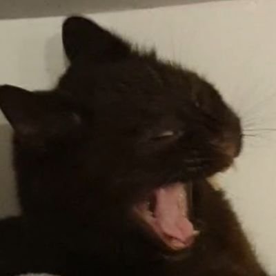 Cleggy03's profile picture. 