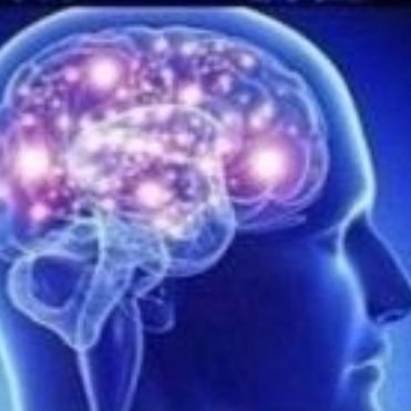 Daniel63186671's profile picture. 