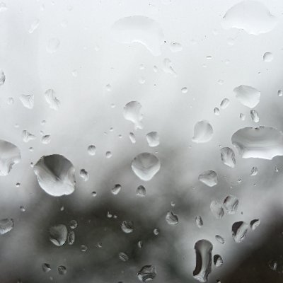 Muster_Typ's profile picture. Eine random Person