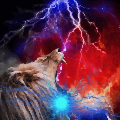 Dailycryptopay's profile picture. Digital, network and cryptomarketer