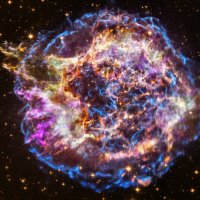 Peewee (@peeweeeats) 's Twitter Profile