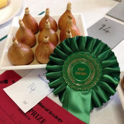 If you love growing, baking, crafting, all things vintage, the Whitefield Horticultural Shows are for you.