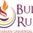 BullRunUU's profile image