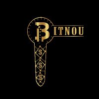 Bitnou (@bitnouofficial) 's Twitter Profile