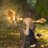 Bunya_Bambina