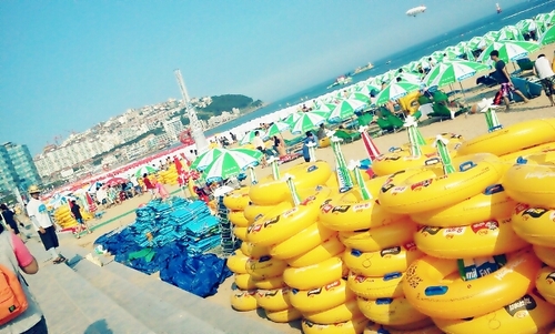 cute_park